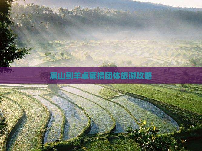 眉山到西藏羊卓雍措团体旅游