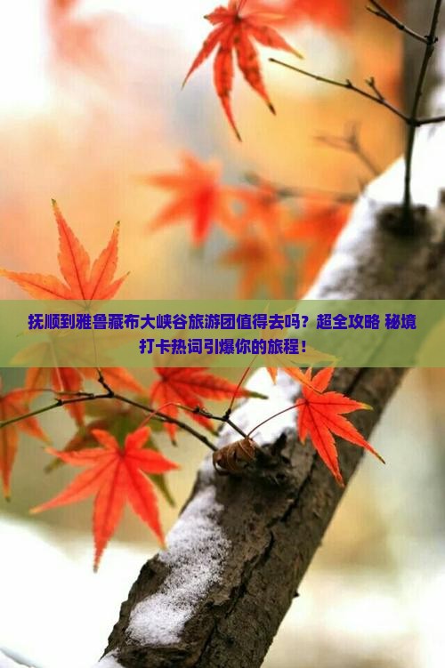 抚顺到西藏雅鲁藏布大峡谷大型旅游团