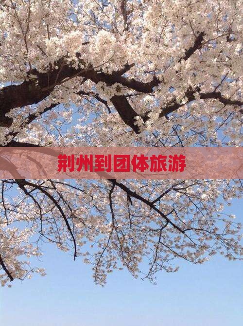 荆州到西藏团体旅游