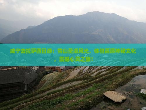 咸宁去西藏拉萨四日游