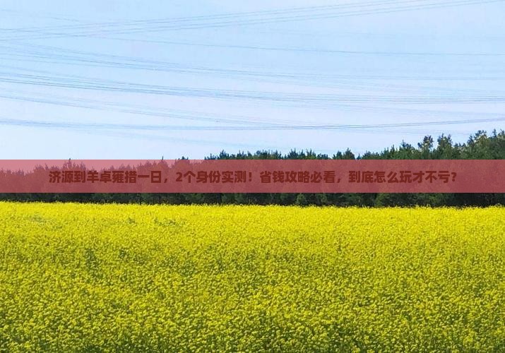 济源到西藏羊卓雍措一日
