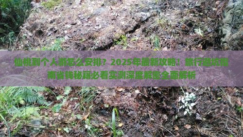 仙桃到西藏个人游