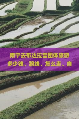 南宁去西藏布达拉宫团体旅游