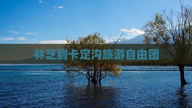 林芝到西藏卡定沟自由团