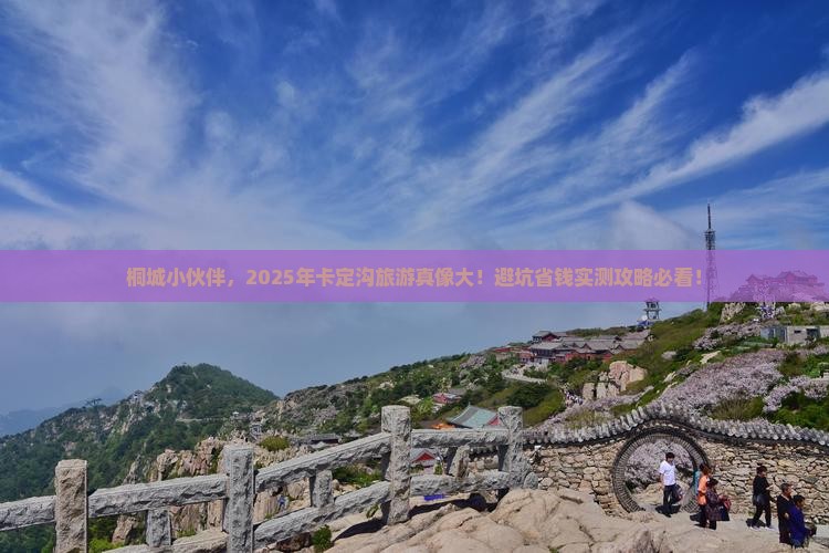桐城去西藏卡定沟旅游