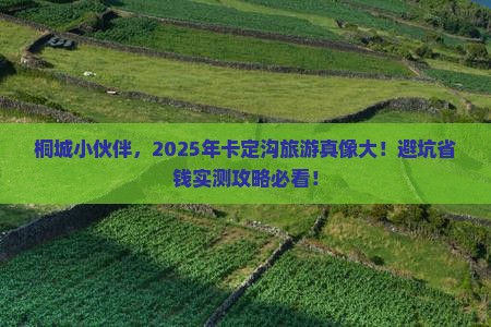 桐城去西藏卡定沟旅游