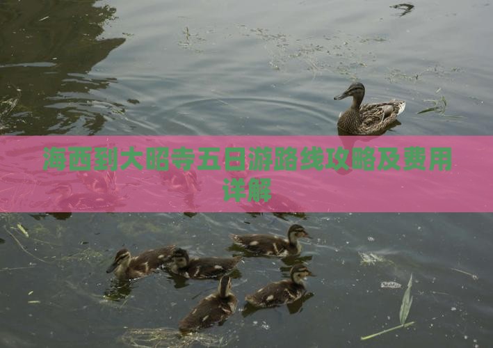海西到西藏大昭寺五日游