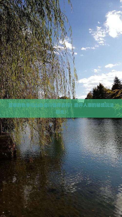 宜春到西藏色季拉山自由行