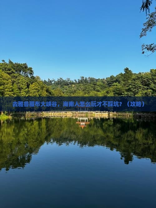 海南省直辖去西藏雅鲁藏布大峡谷攻略