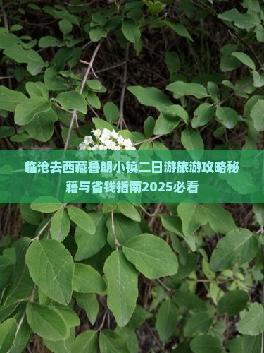 临沧去西藏鲁朗小镇二日游