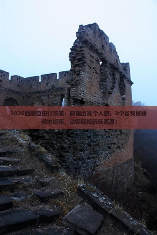 鹤壁去西藏个人游