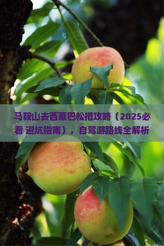 马鞍山去西藏巴松措攻略