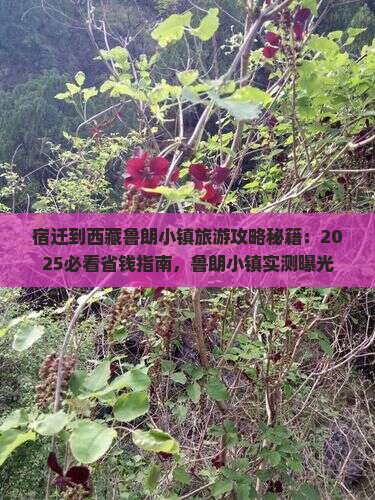 宿迁到西藏鲁朗小镇个人游