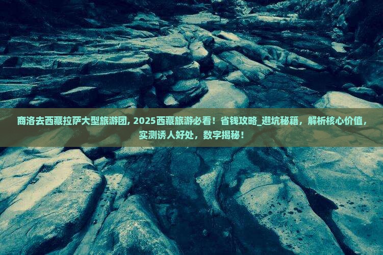 商洛去西藏拉萨大型旅游团