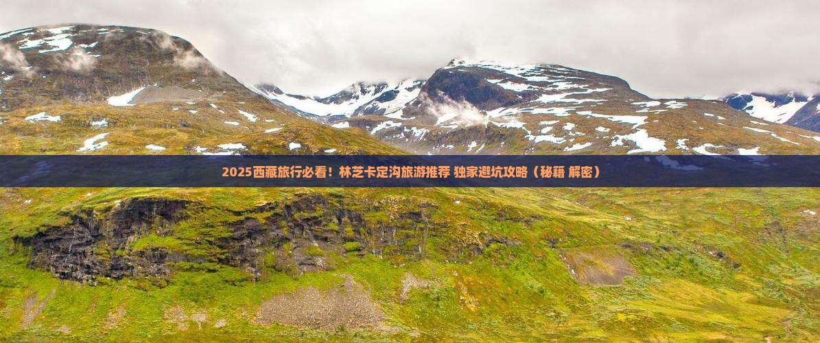四月到西藏卡定沟旅行社