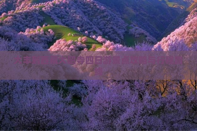 大丰到西藏大昭寺四日游