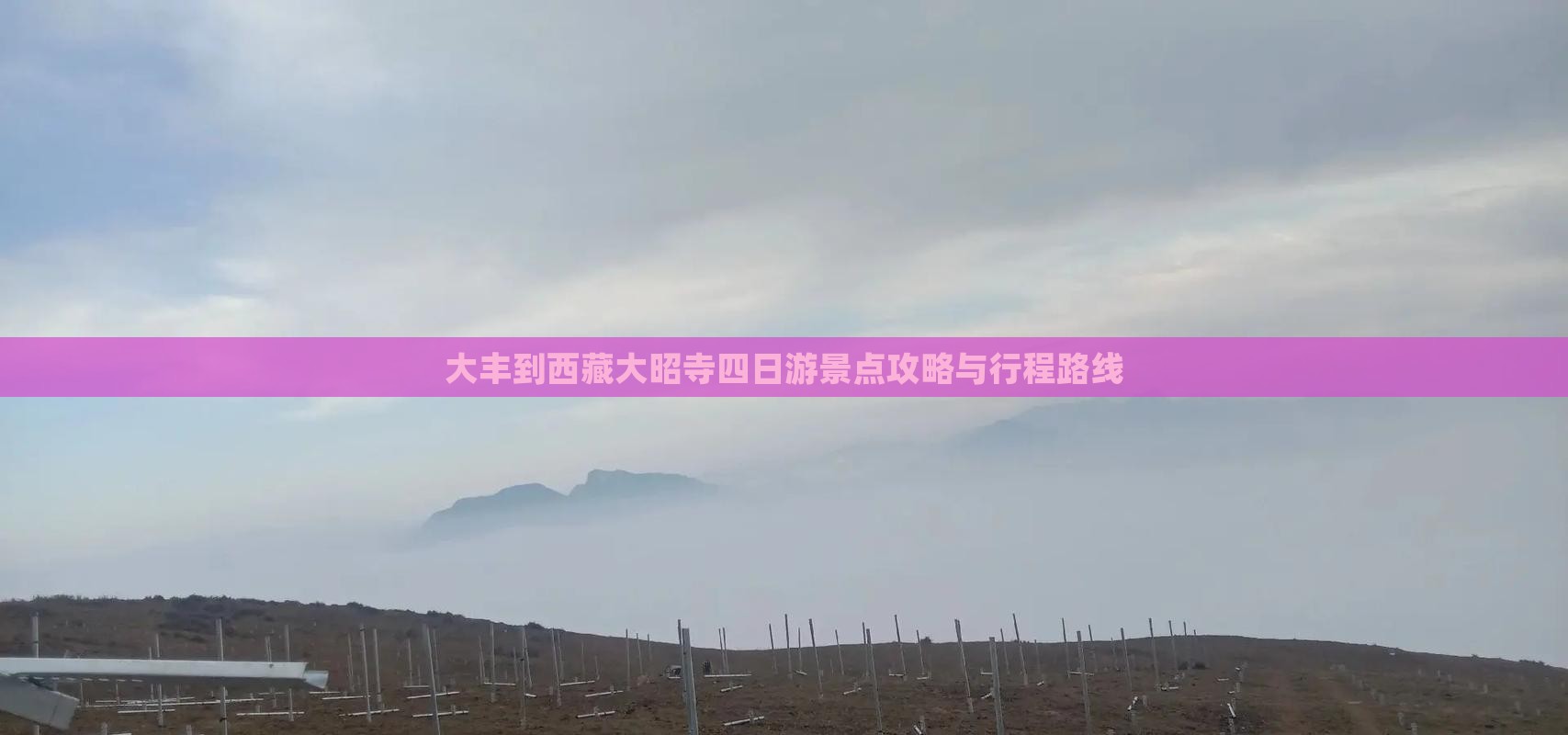 大丰到西藏大昭寺四日游