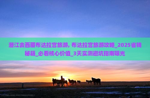 潜江去西藏布达拉宫旅游