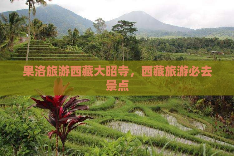 果洛去西藏大昭寺旅游