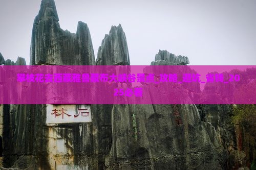 攀枝花去西藏雅鲁藏布大峡谷景点