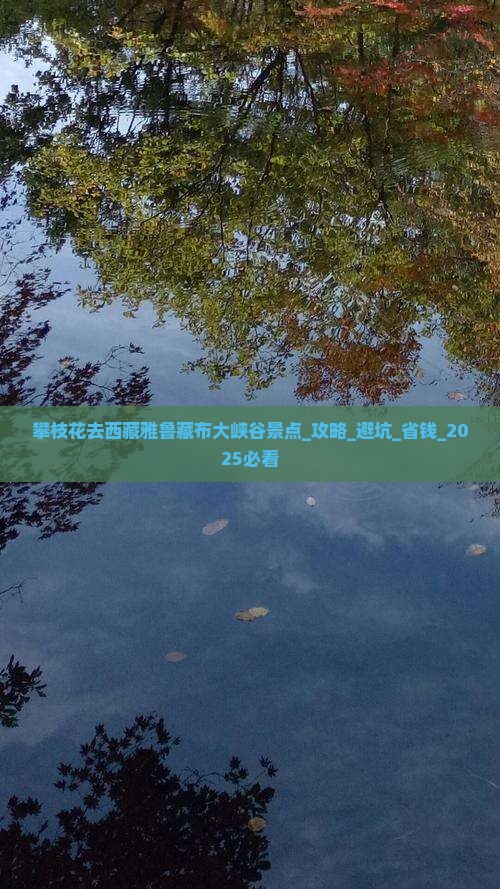 攀枝花去西藏雅鲁藏布大峡谷景点