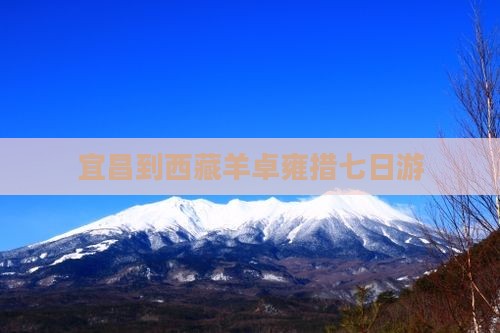 宜昌到西藏羊卓雍措七日游