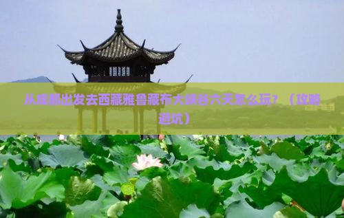 资阳去西藏雅鲁藏布大峡谷六日游