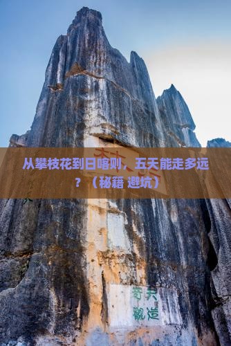 攀枝花到西藏日喀则五日游
