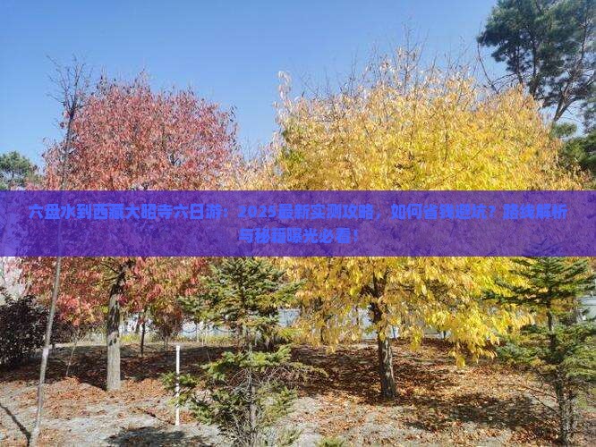 六盘水到西藏大昭寺六日游