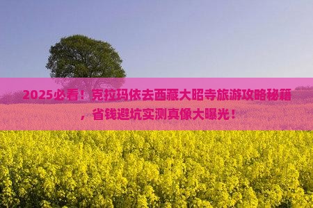 克拉玛依去西藏大昭寺旅游 克拉玛依去西藏大昭寺旅游