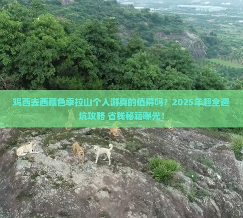 鸡西去西藏色季拉山个人游