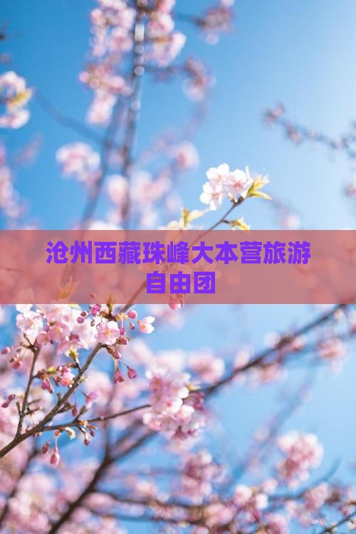 沧州去西藏珠峰大本营自由团