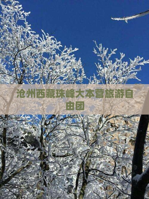 沧州去西藏珠峰大本营自由团