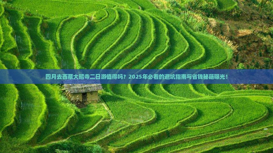 四月去西藏大昭寺二日游