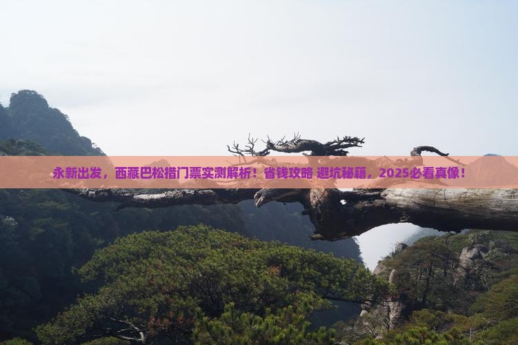 永新到西藏巴松措门票