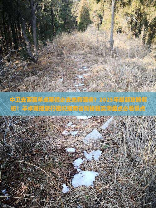 中卫去西藏羊卓雍措必去地