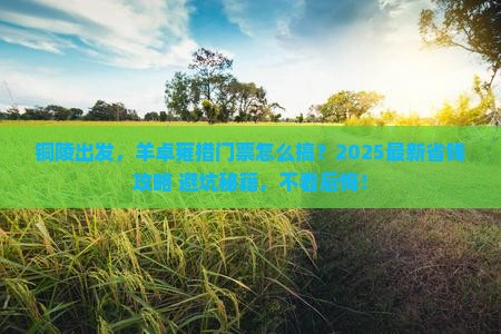 铜陵到西藏羊卓雍措门票