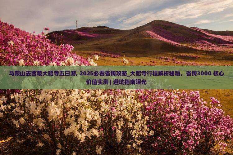 马鞍山去西藏大昭寺五日游