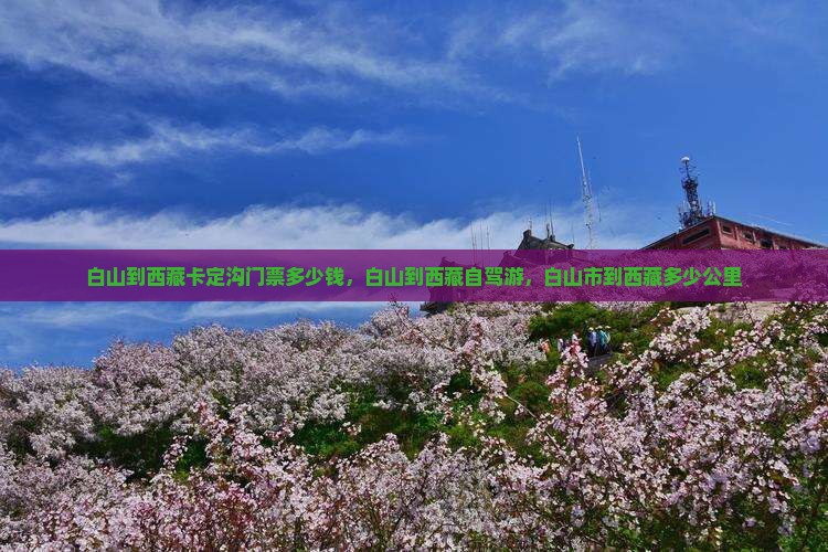 白山到西藏卡定沟门票