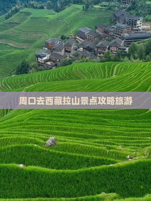 周口去西藏色季拉山七日游