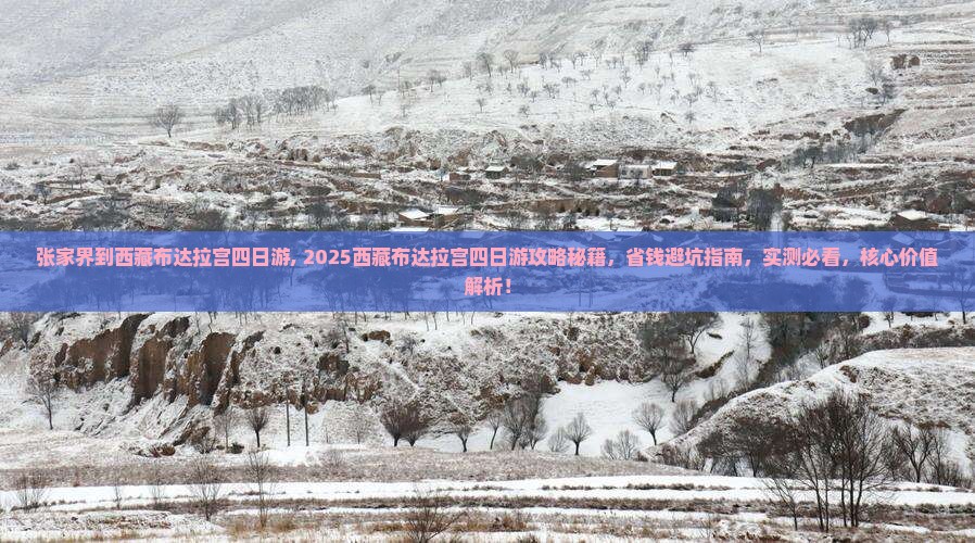 张家界到西藏布达拉宫四日游
