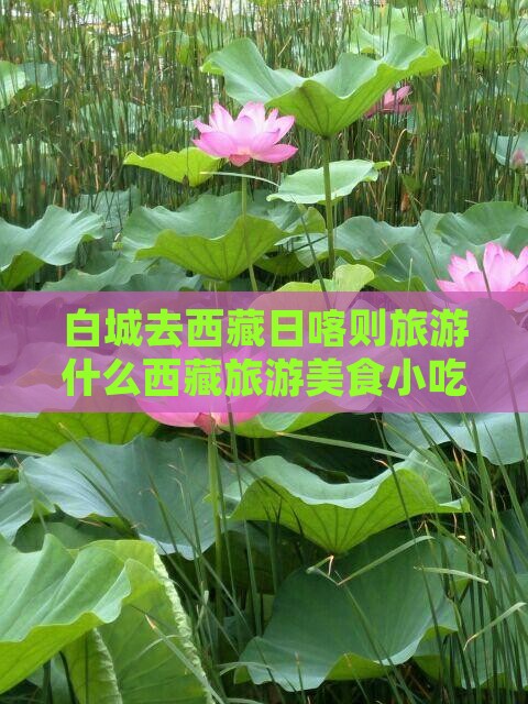 白城去西藏日喀则旅游小吃