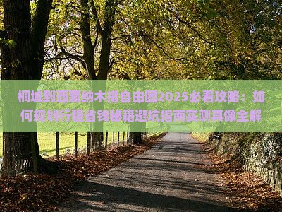 桐城到西藏纳木措自由团