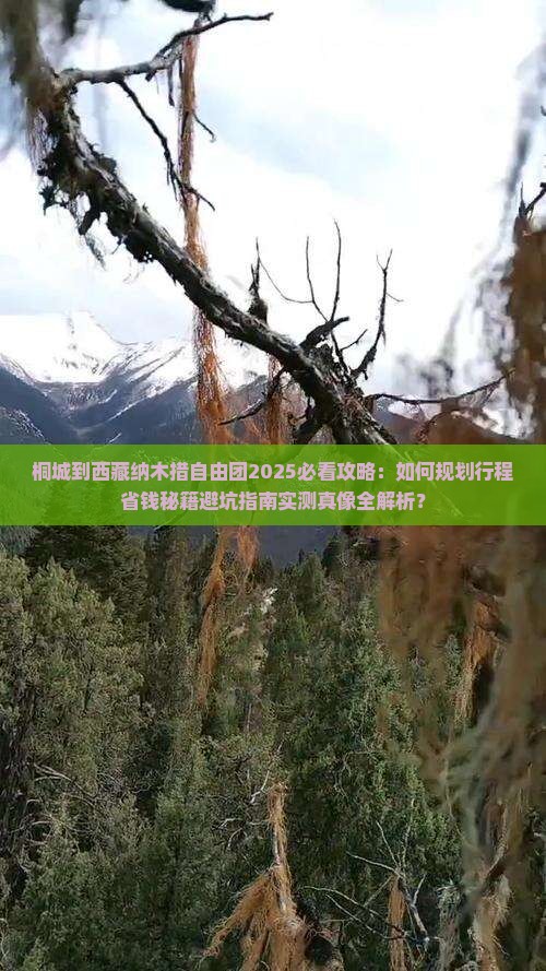 桐城到西藏纳木措自由团
