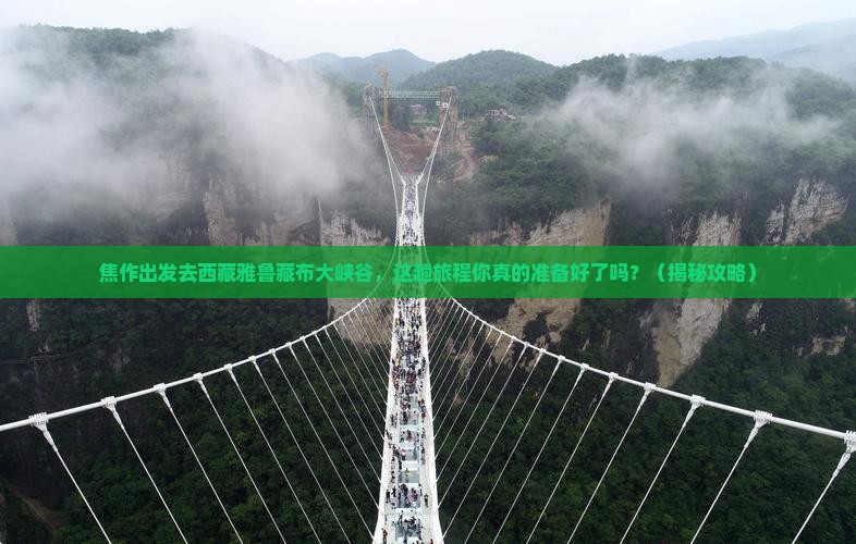 焦作去西藏雅鲁藏布大峡谷旅游