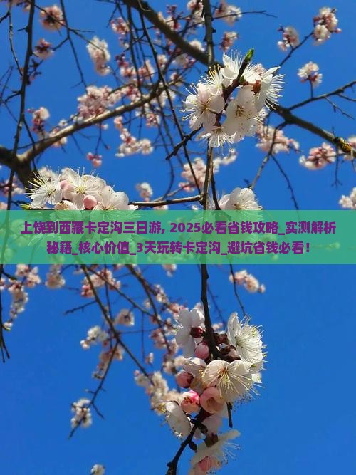 上饶到西藏卡定沟三日游