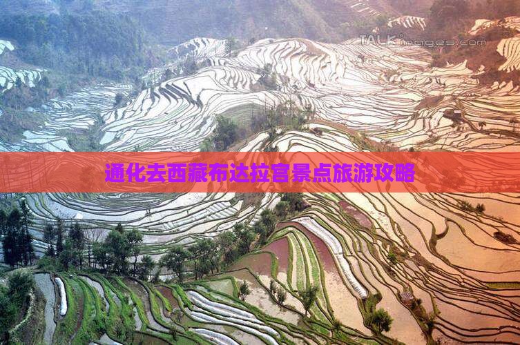 通化去西藏布达拉宫景点