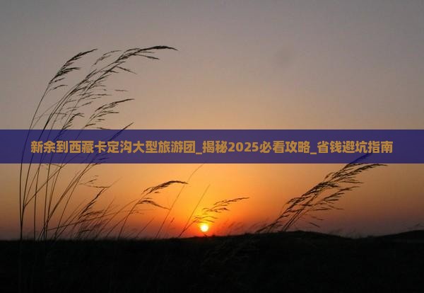 新余到西藏卡定沟大型旅游团