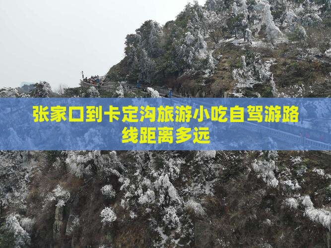 张家口到西藏卡定沟旅游小吃