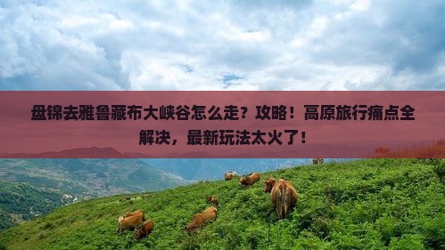 盘锦去西藏雅鲁藏布大峡谷攻略